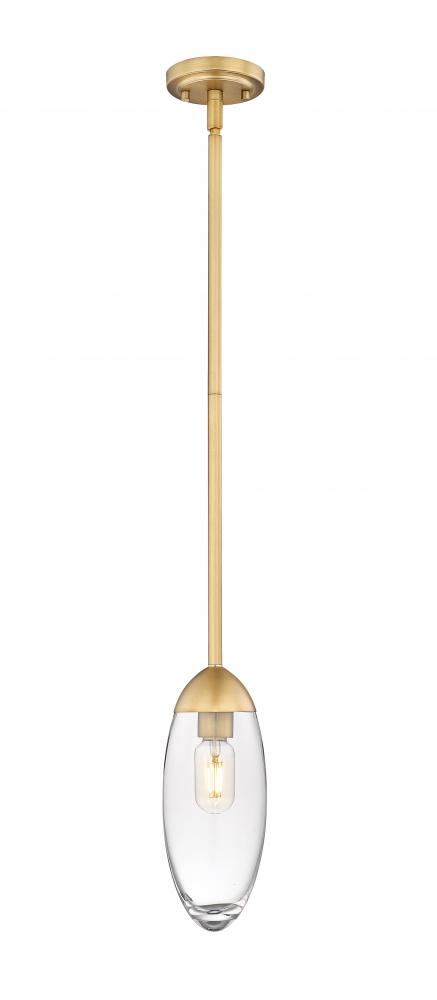 1 Light Pendant