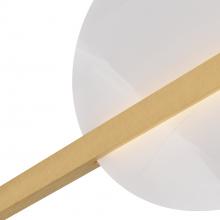 PDC11.d7.jpg