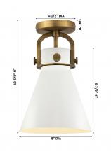 410-1F-BB-M411-8W_dim.jpg