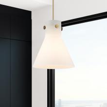 APP-410-1PM-BB-G411-10WH_2.jpg
