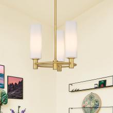 APP-434-3CR-BB-G434-12WH_2.jpg